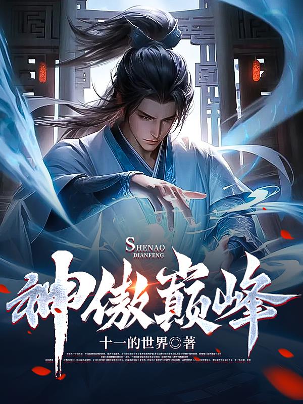 神傲电采暖炉